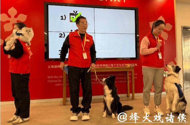 现实版“汪汪队立大功”!狗狗变身“疗愈师”,背后是一场14年的坚持 现实版“汪汪队立大功”!狗狗变身“疗愈师”,背后是一场14年的坚持