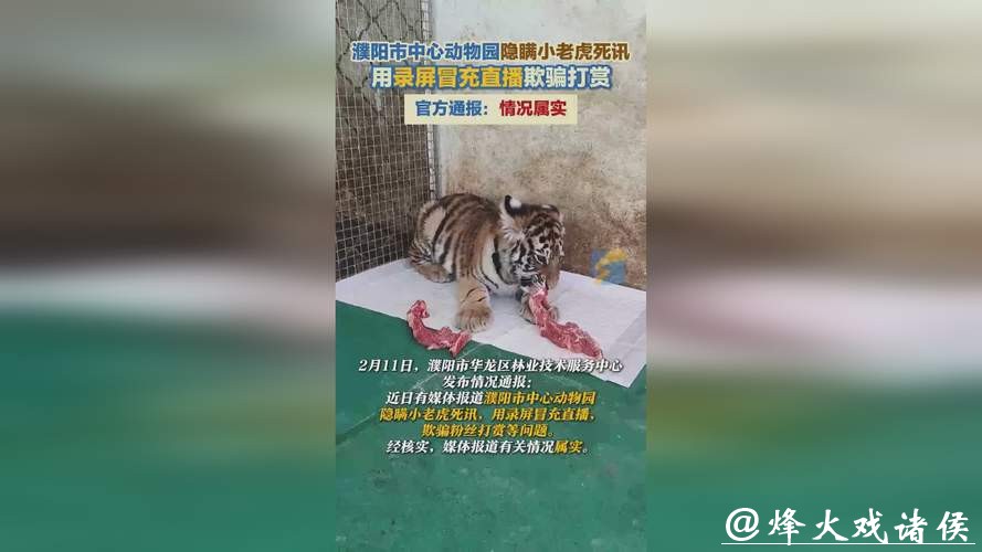 动物园隐瞒网红小老虎死讯，用录屏冒充直播欺骗粉丝打赏！多部门介入调查